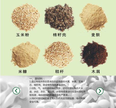 食用菌用臭氧發(fā)生器生產流程